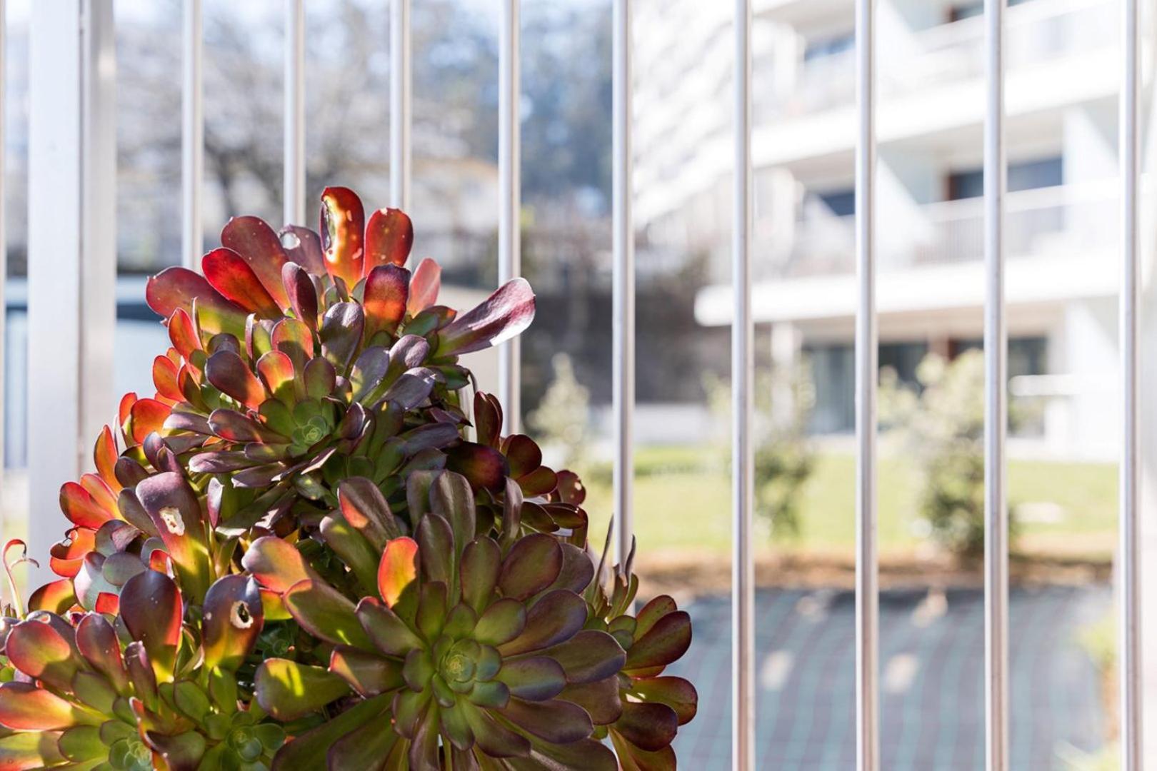 Guestready - Ideal Stay Near Estadio Do Dragao OOporto Esterno foto